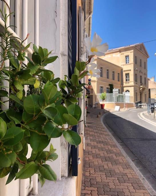 Studios Du Marin sur Port de La Ciotat Extérieur photo